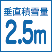 垂直積雪量2.5m