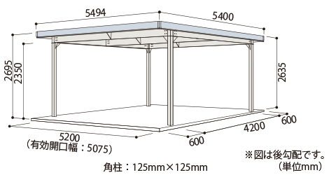 CG-600NP