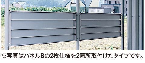 パネルB